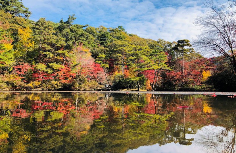 Kobe Municipal Arboretum, Japan
